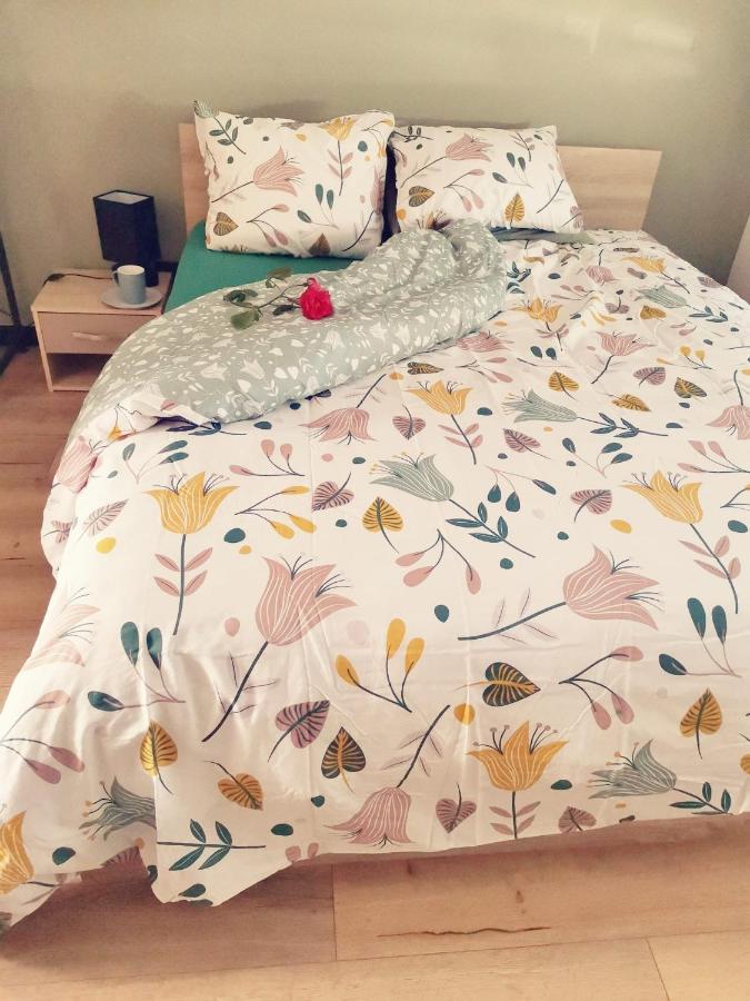 Maisonnette Tout Confort Parking Prive Brest Luaran gambar